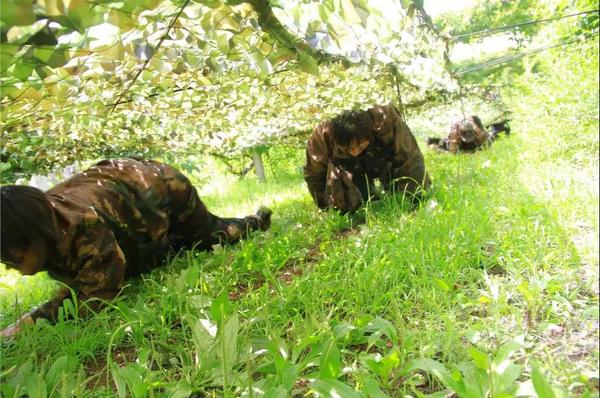 乾港集團,乾港官網,乾港網絡,室內空氣凈化公司